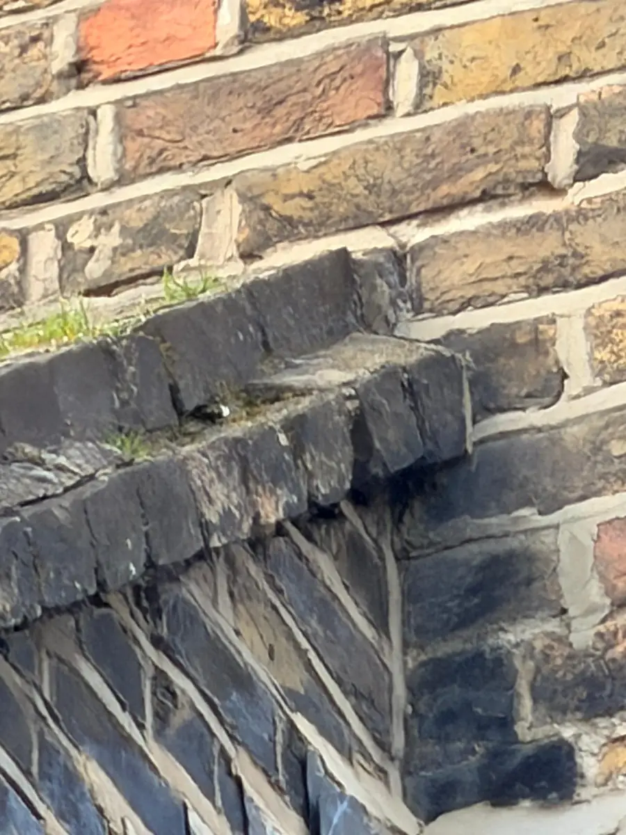 Weathered chimney brickwork and mortar joints before repointing