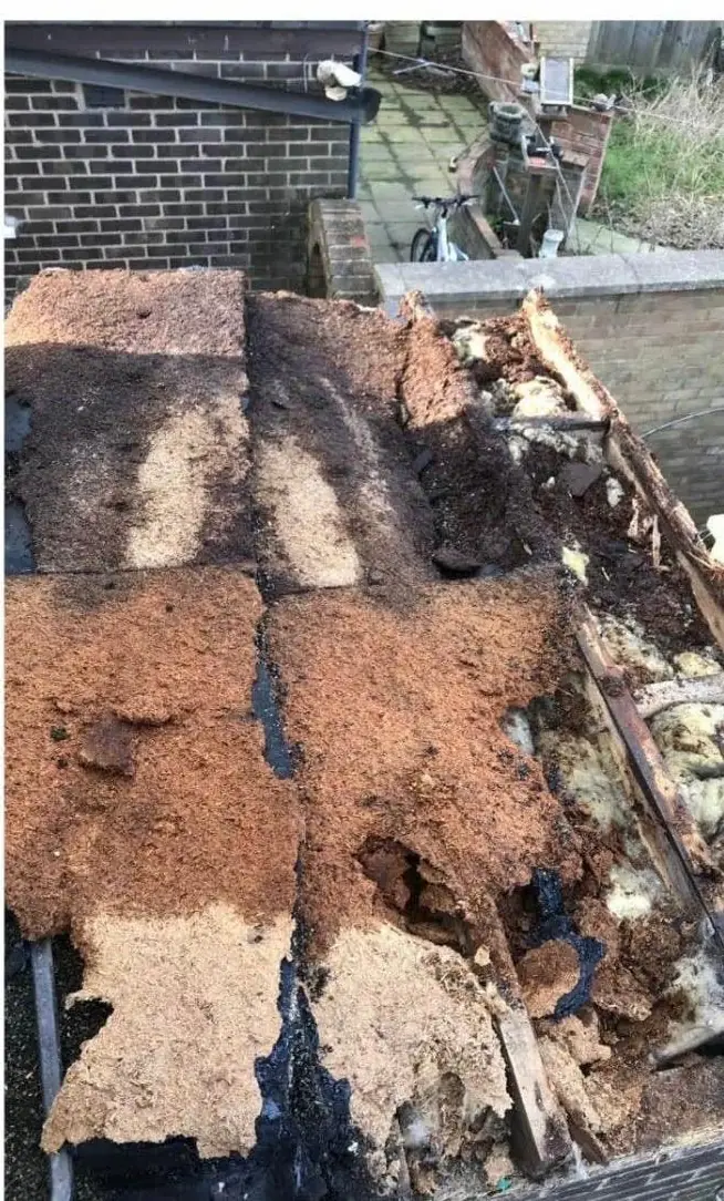 Before: rotten chipboard deck and wet insulation on a failed flat roof