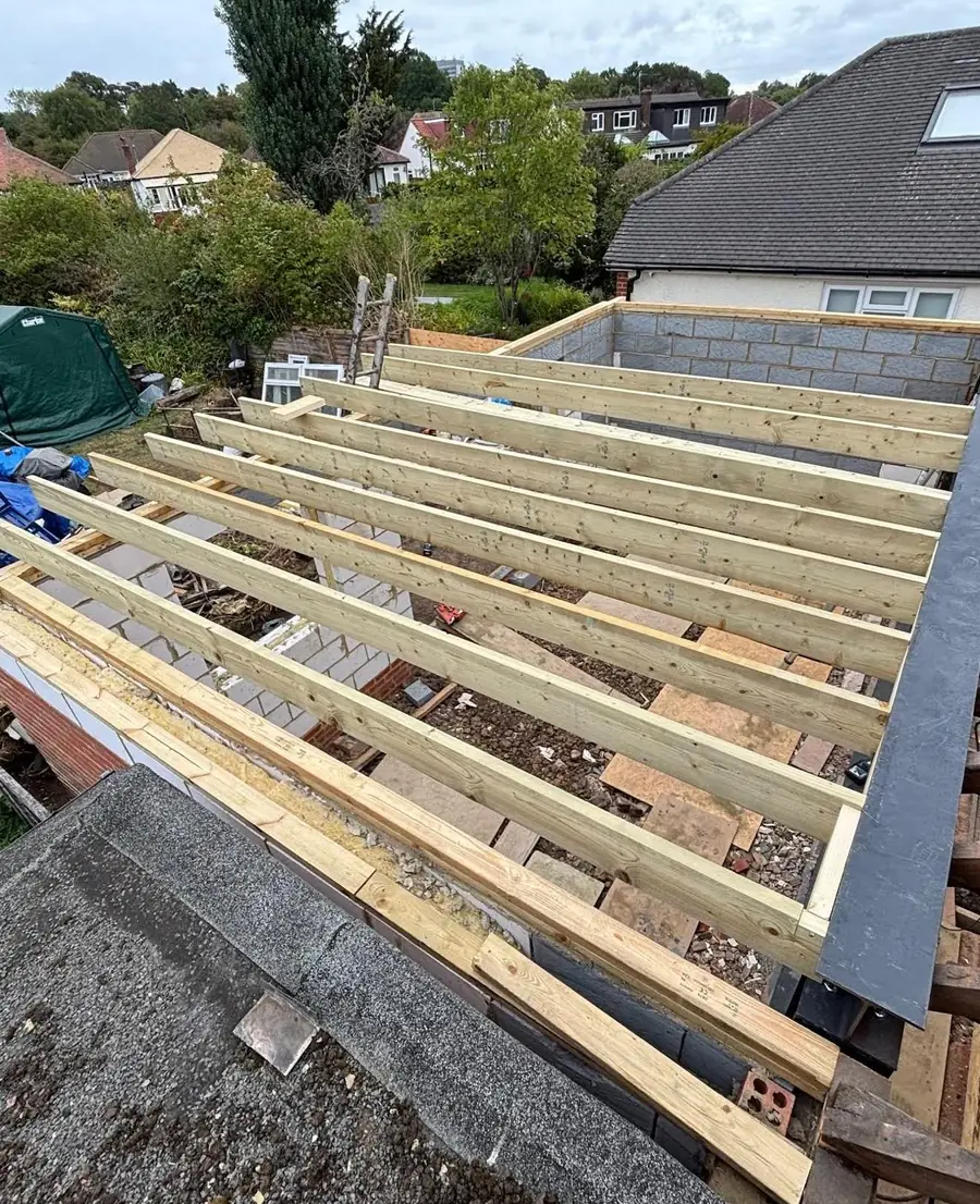 New timber joists for a flat roof on a rear extension